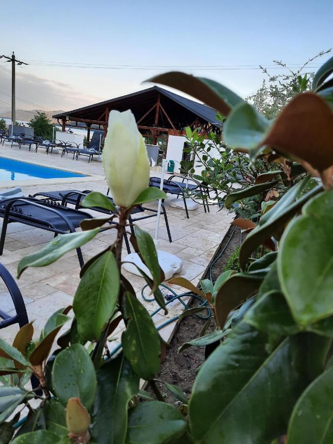 Clisura Dunarii - Pensiunea Casa Creta Liborajdea Экстерьер фото